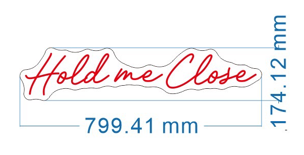 Hold me Close Individual Neon LED Sign