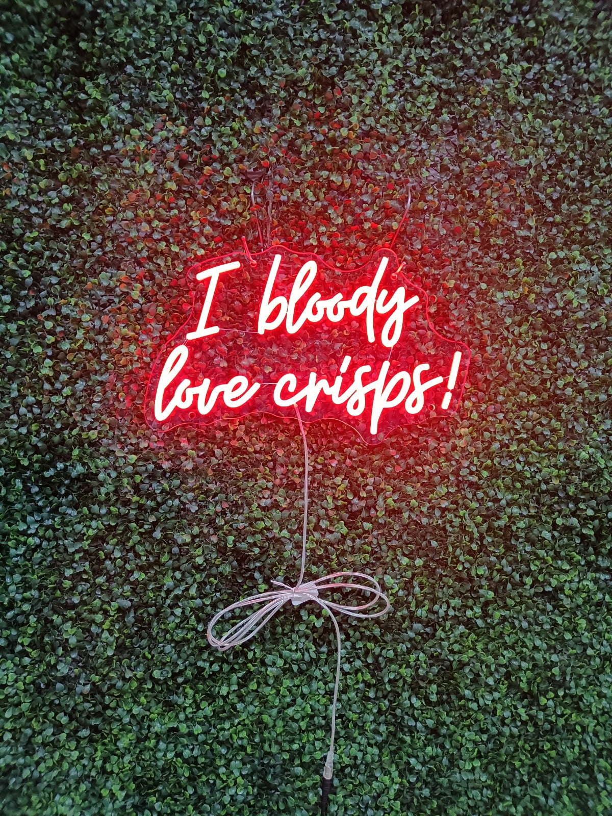 I Bloody Love Crisps! Neon LED Individual Sign