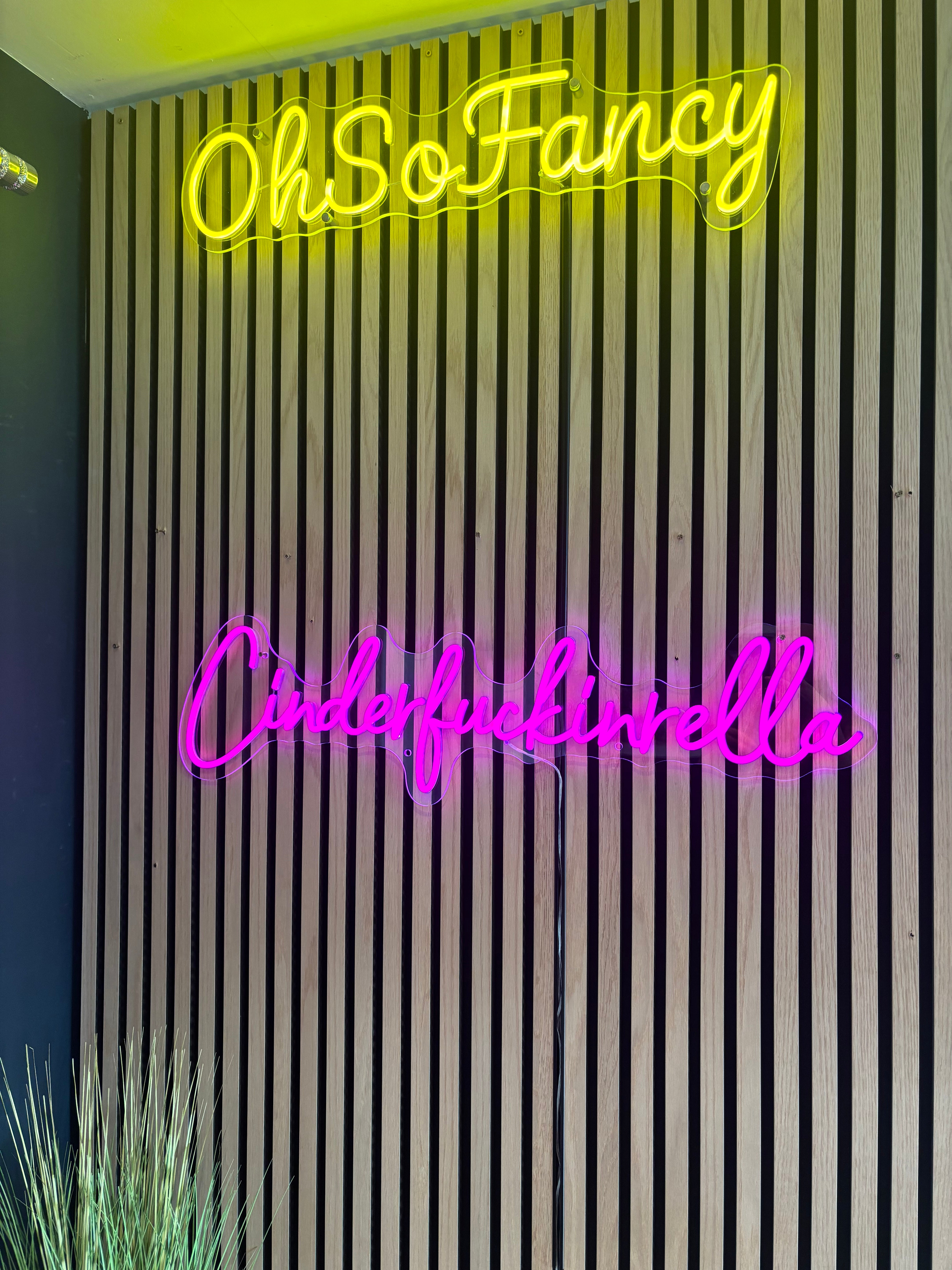 Cinderfuckinrella Individual LED Sign