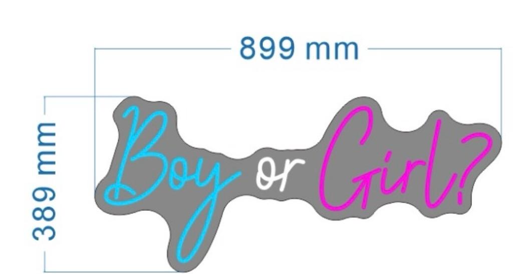 Boy Or Girl Individual Neon LED Sign HIRE