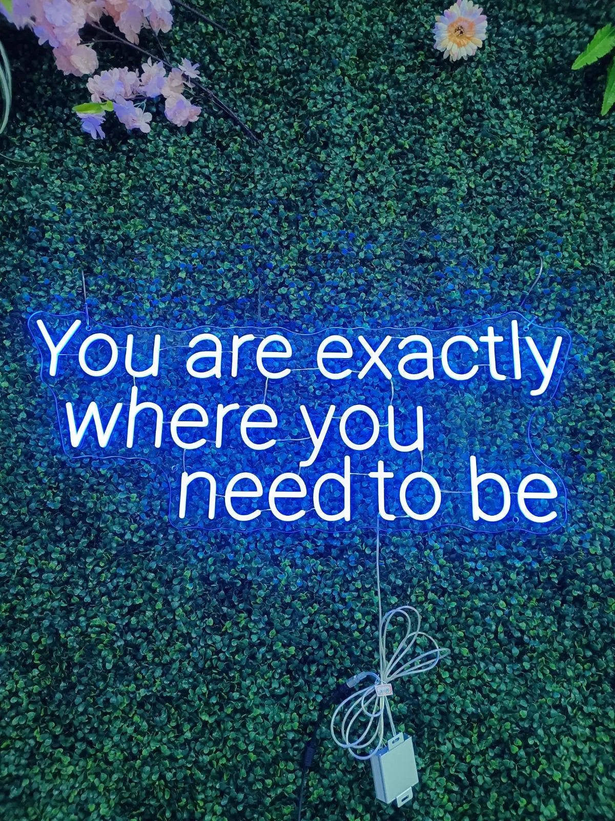 You Are Exactly Where You Need To Be Neon LED Individual Sign