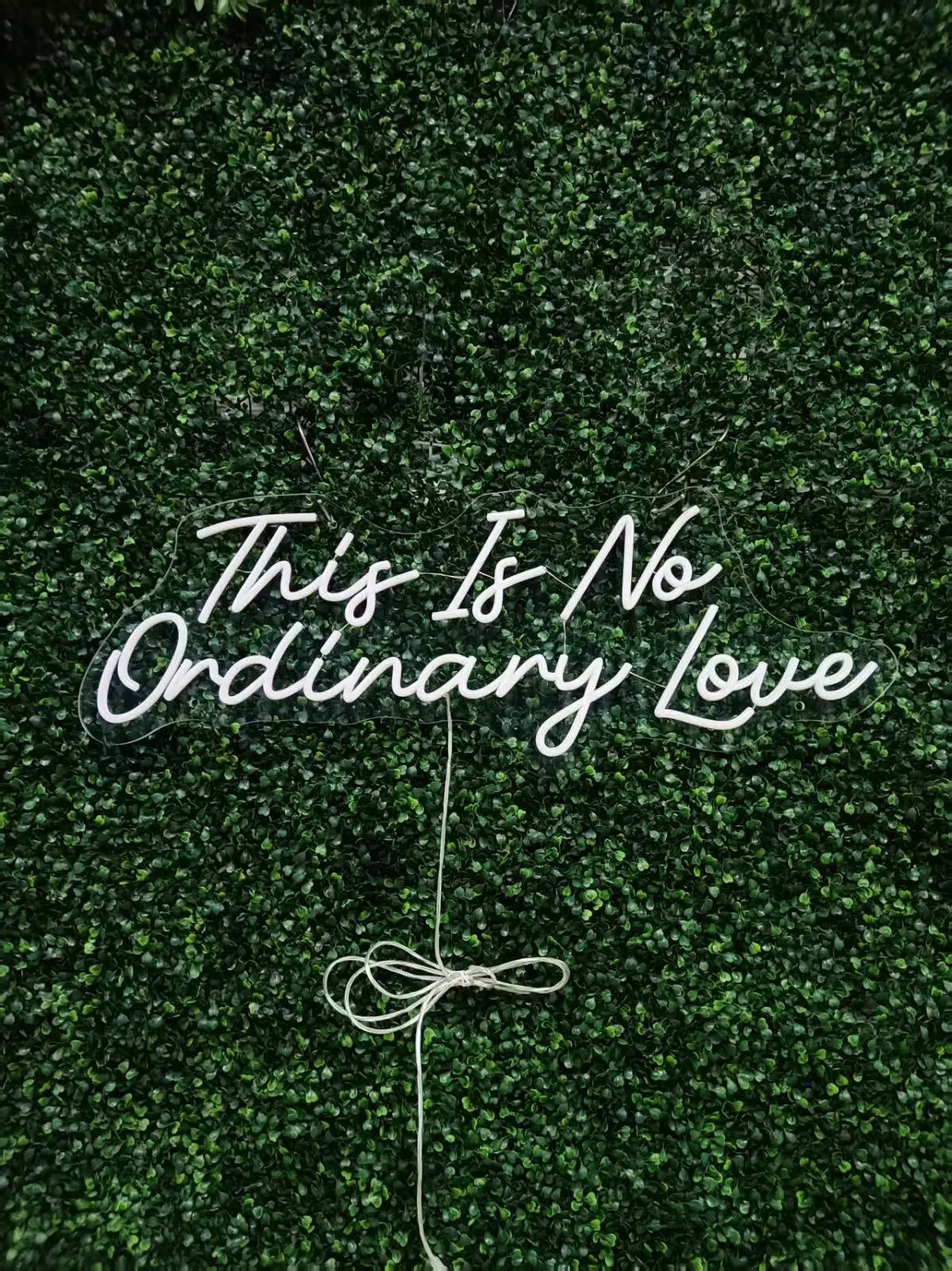 This Is No Ordinary Love Neon LED Individual Sign