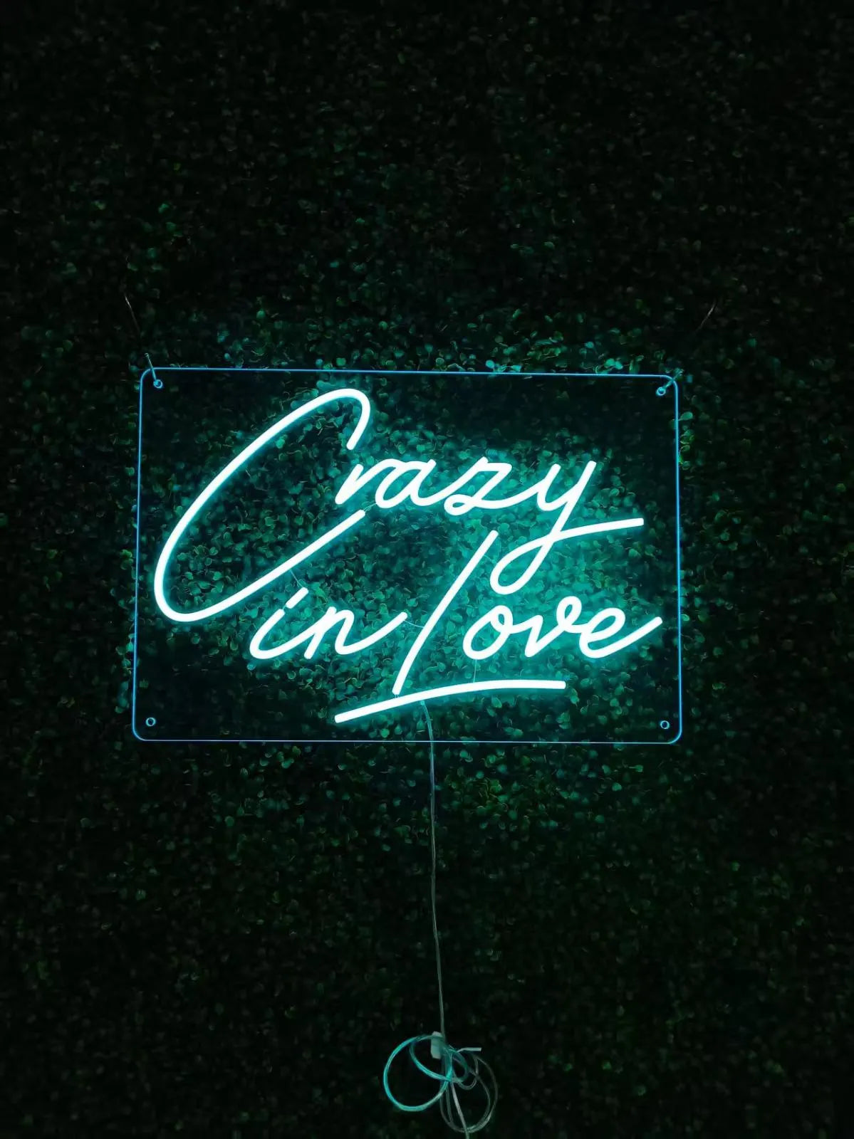 Crazy In Love Neon LED Individual Sign