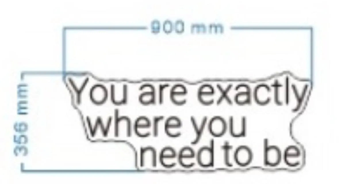 You Are Exactly Where You Need To Be Neon LED Individual Sign