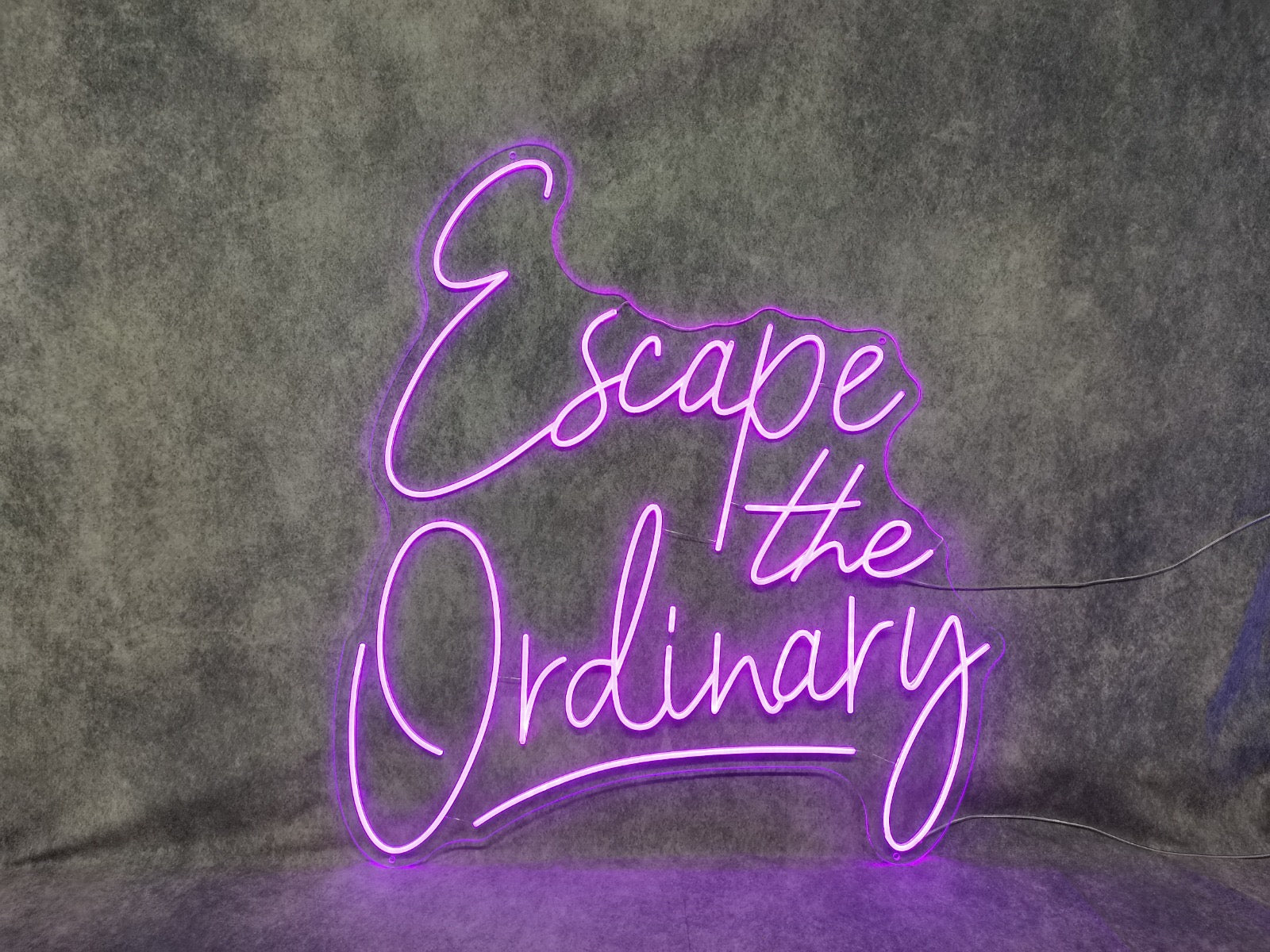 Escape The Ordinary Neon LED Individual Sign