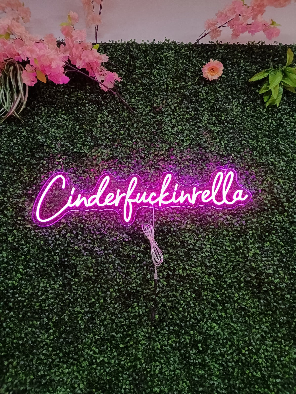 Cinderfuckinrella Individual LED Sign Pink