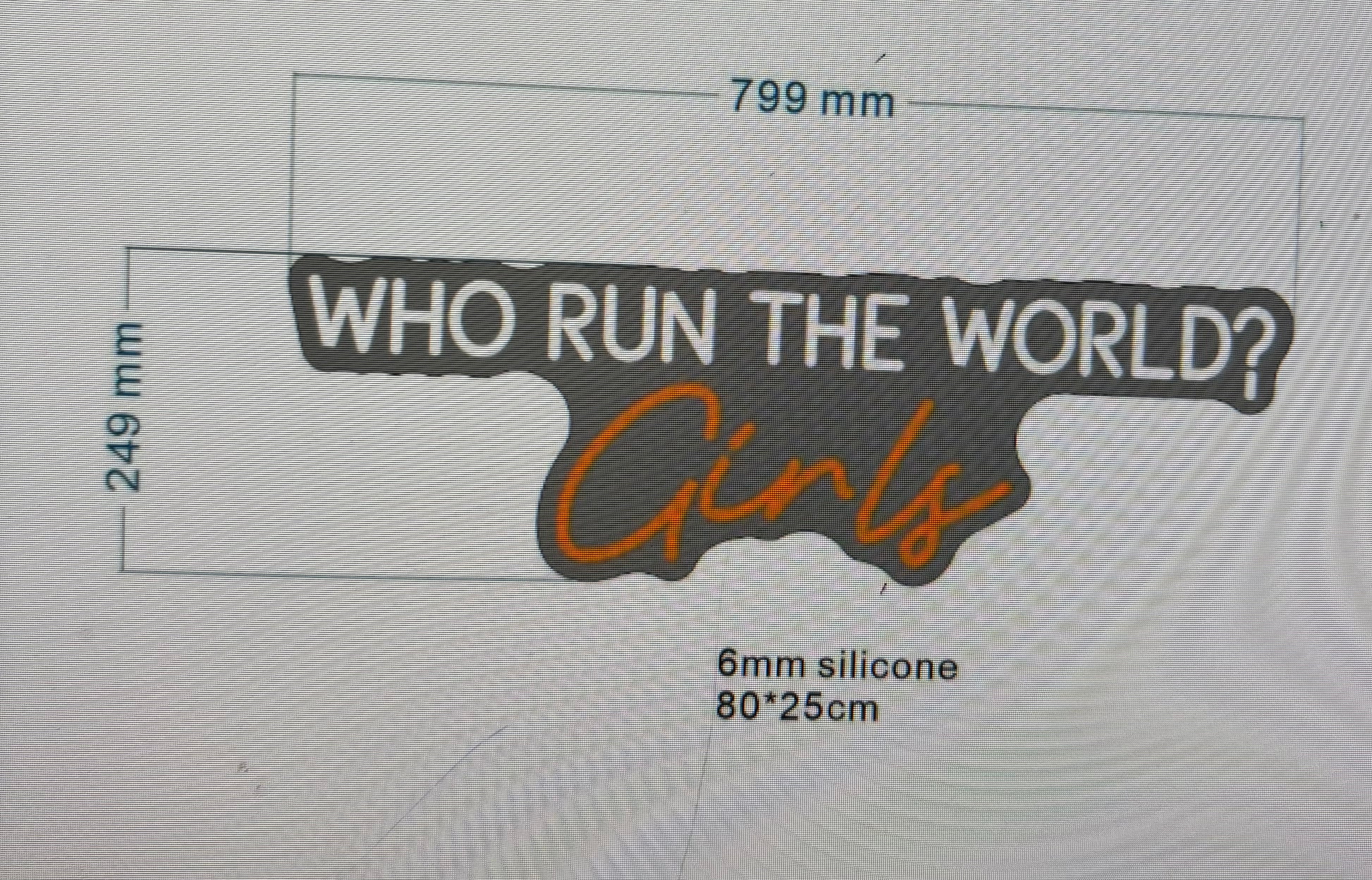 Who Run The World? Girls Neon LED Individual Sign