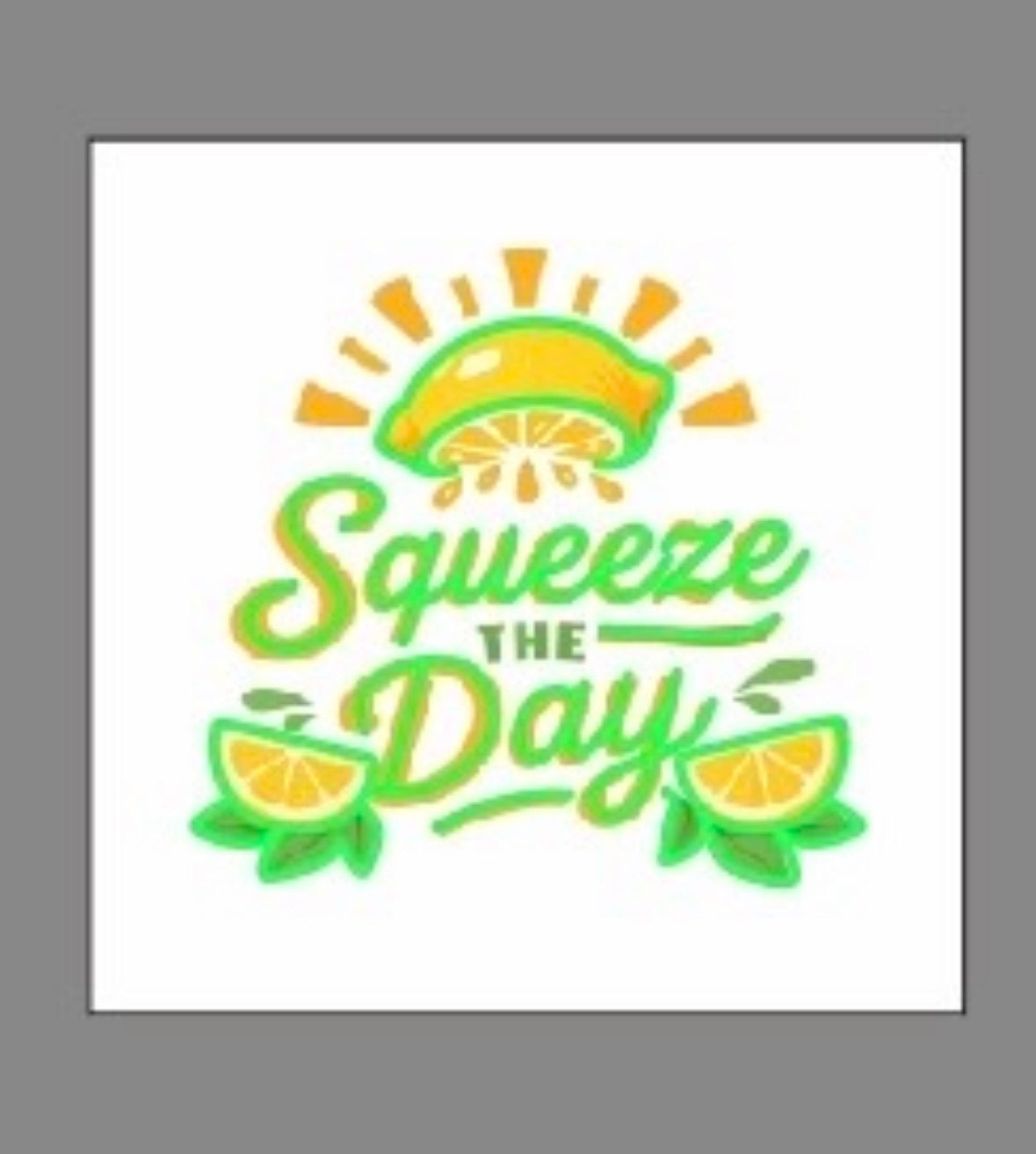 Squeeze The Day LED Neon UV Printed Framed Sign