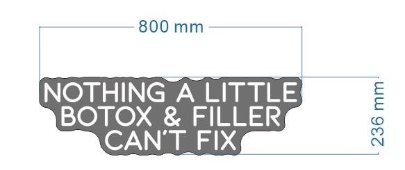Nothing A Little Botox & Filler Can't Fix Neon LED Individual Sign