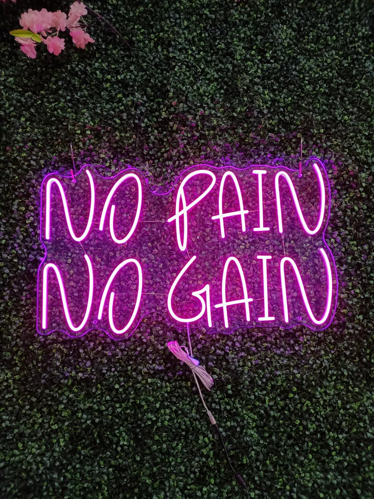 No Pain No Gain Neon LED Individual Sign