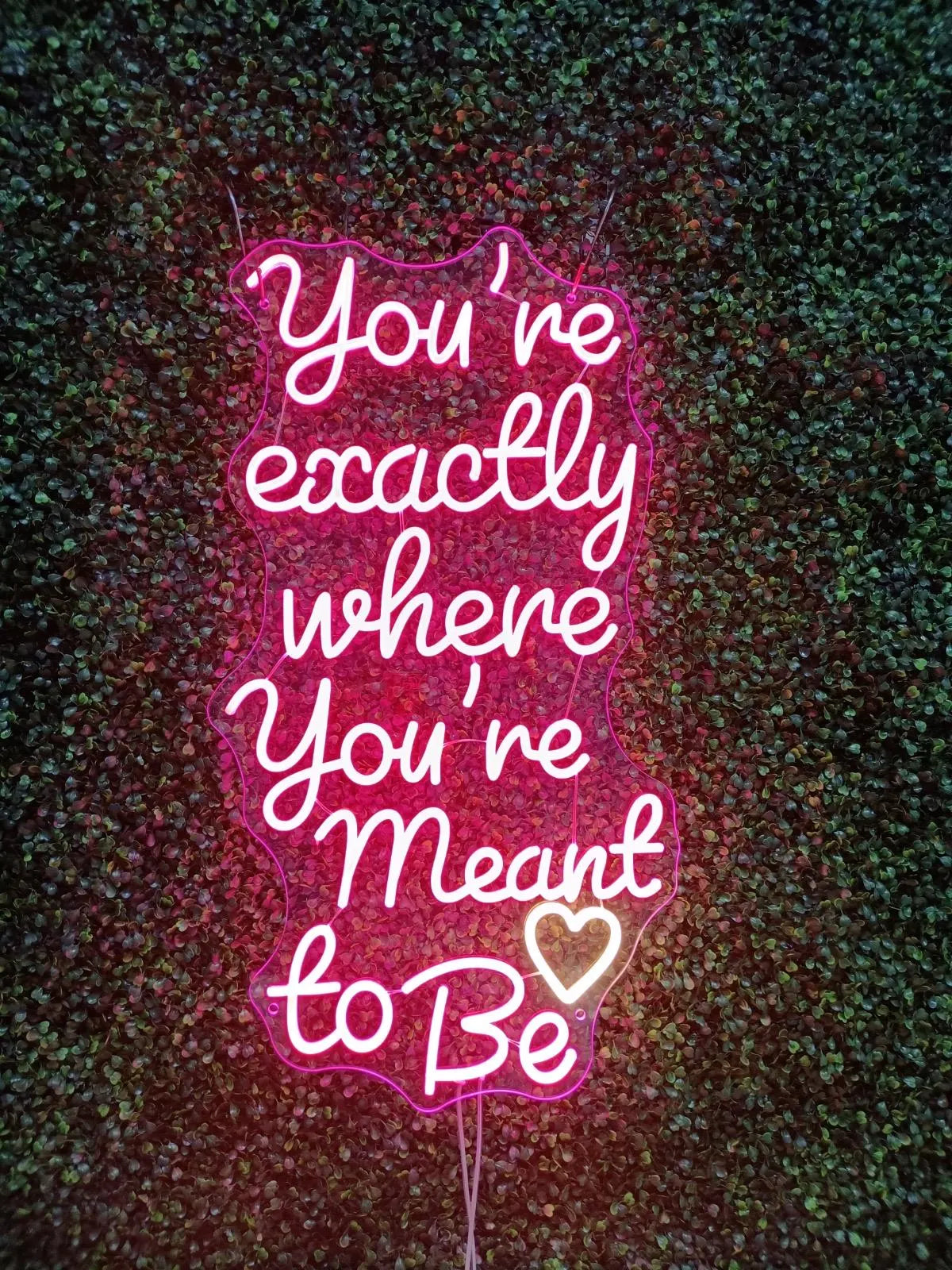 You're Exactly Where You're Meant To Be Neon LED Individual Sign