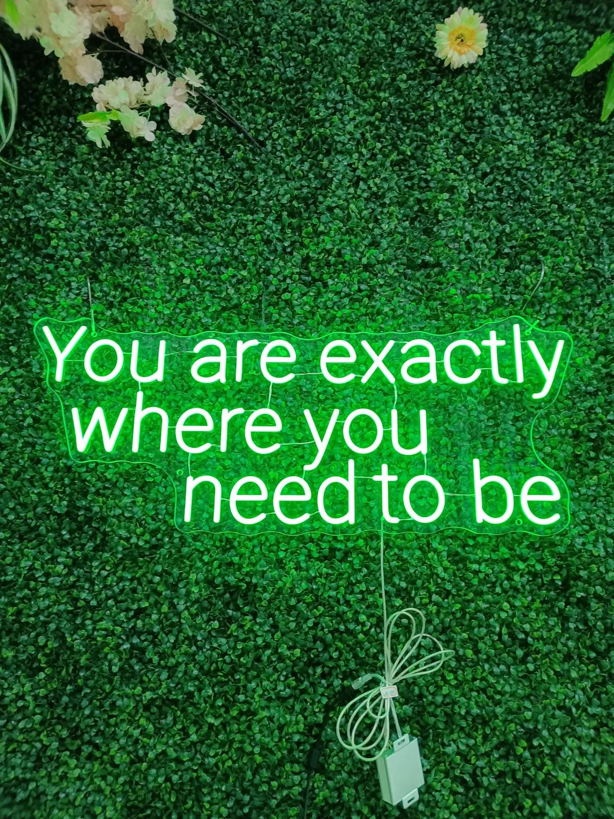You Are Exactly Where You Need To Be Neon LED Individual Sign