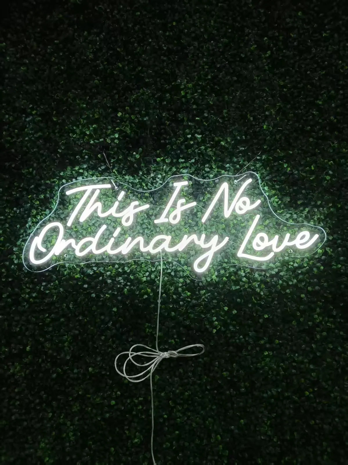 This Is No Ordinary Love Neon LED Individual Sign