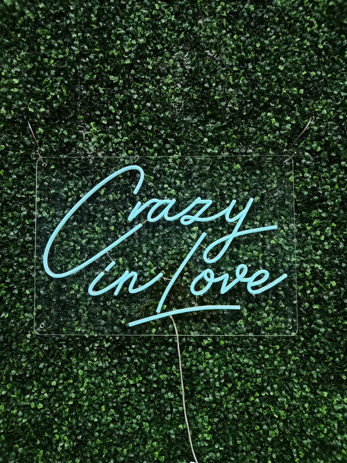 Crazy In Love Neon LED Individual Sign